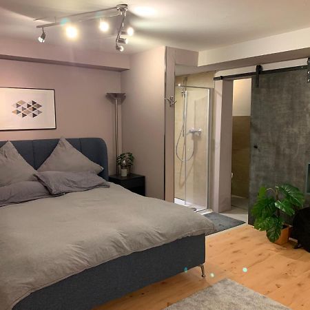 Top Studio Appartement Im Gruenen Nah Phantasialand Brühl Dış mekan fotoğraf